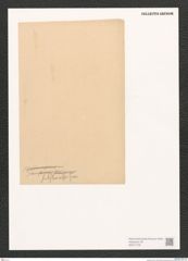 Diatomeae indet. Zeichnungen Sammlung Grunow (NHMW-BOT-W0371378)